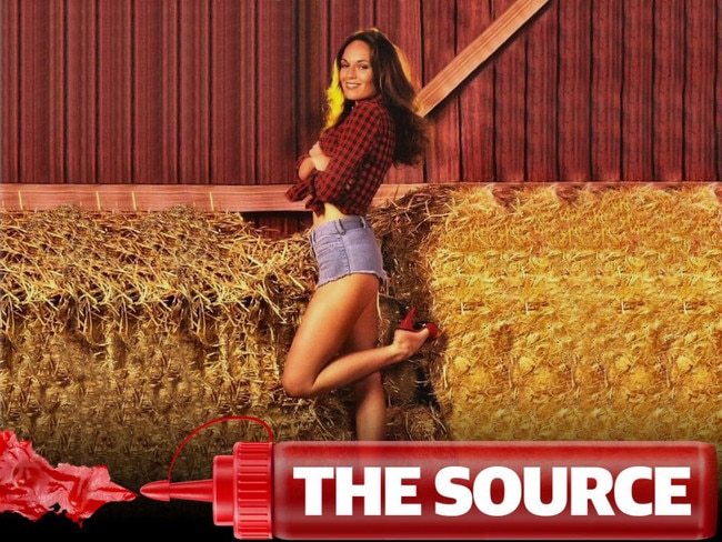 Source art major Daisy Duke