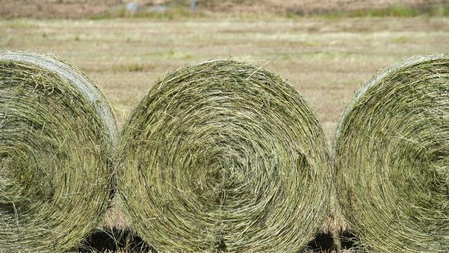 Drier than normal conditions are expected to return to Australia after three record-breaking La Nina years.