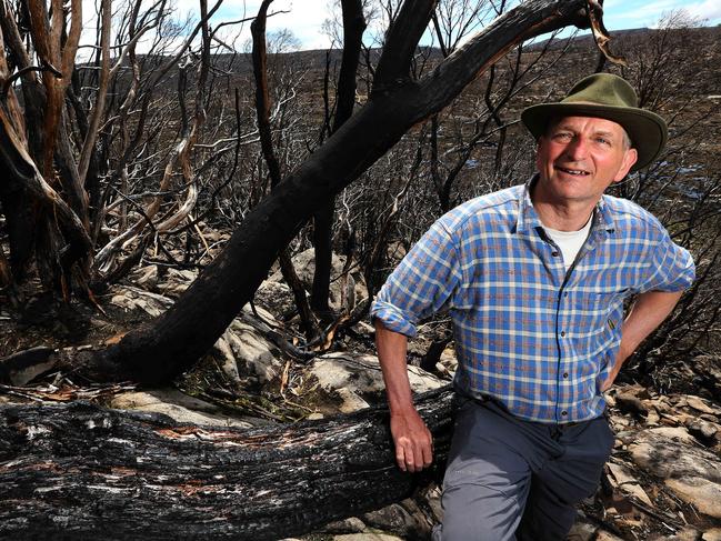 Professor David Bowman. Picture: Chris Kidd