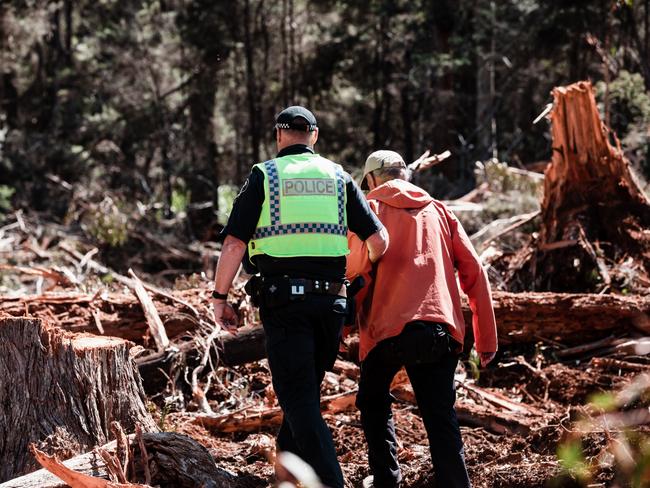 Australian environmentalist Bob Brown being arrested at Snow Hill in November 2022, while protesting the logging of swift parrot habitat. Picture: Bob Brown Foundation