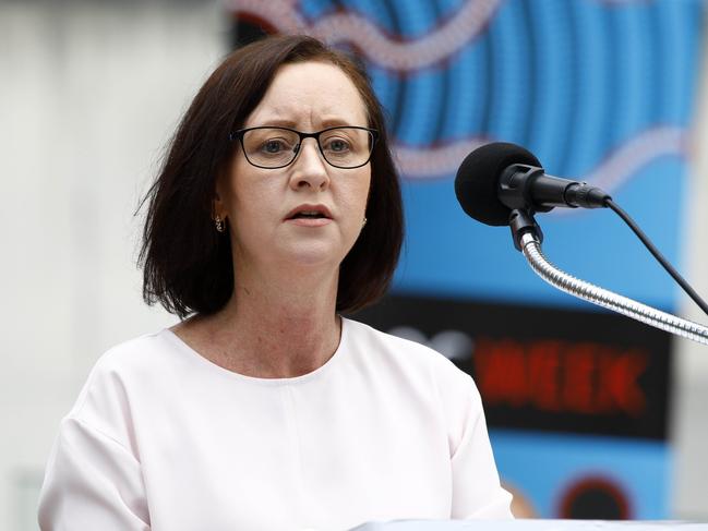 Queensland Health Minister Yvette D’Ath said $46.5 million would be spent on mental health treatment and support services in some towns. Picture: NCA NewsWire/Tertius Pickard