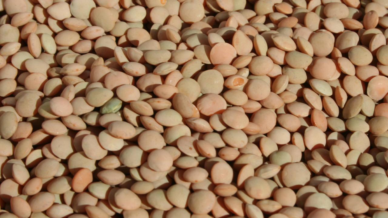 Lentil prices skyrocket on speculation of India reducing tariffs The