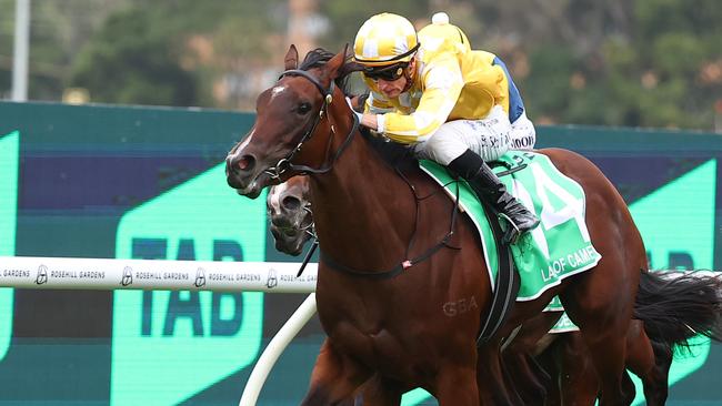 SYDNEY, AUSTRALIA - MARCH 23: Blake Shinn riding  Lady Of Camelot wins Race 8 Golden Slipper during the Golden Slipper Day - Sydney Racing at Rosehill Gardens on March 23, 2024 in Sydney, Australia. (Photo by Jeremy Ng/Getty Images)