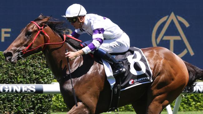 Ramones looks a good value chance in race 5. Picture: Grant Guy