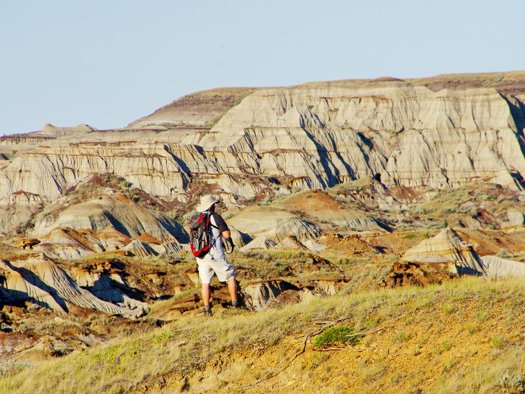 <span>16/20</span><h2>Dinosaur Provincial Park, Alberta</h2><p> Seventy-five million years ago, <a href="https://www.travelalberta.com/au/" rel="nofollow" target="_blank">Dinosaur Provincial Park </a>was a subtropical paradise thick with jumbo palms and ferns and, you guessed it, dinosaurs. Today it’s a designated UNESCO World Heritage Site 220km east of Calgary, where more than 150 full dinosaur skeletons have been unearthed. With more still being discovered, you can also fossick for Jurassic remains in the park, no palaeontology degree required.</p>