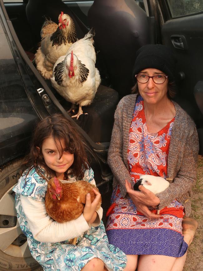 Louise McCarthy and Annabel are accompanied by their three chickens and a guinea pig. Picture: David Crosling