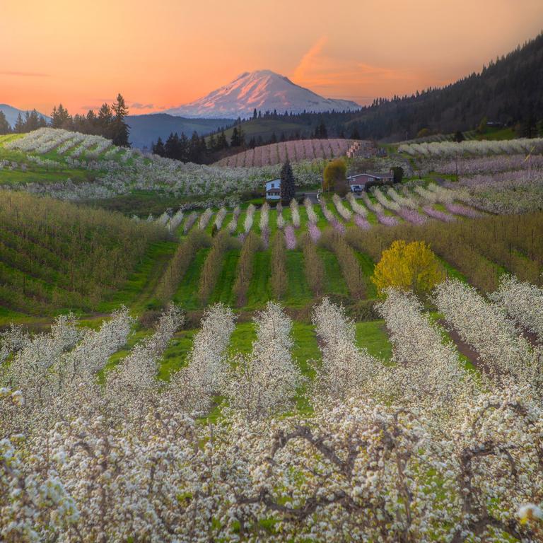 Winners From International Garden Photographer Of The Year Gallery