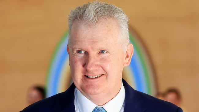 Employment Minister Tony Burke. Picture: NCA NewsWire / Jenny Evans