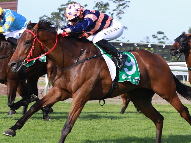 Brutality is backing up in the Villiers from a third to Katalin at Rosehill last week. Picture: Grant Guy