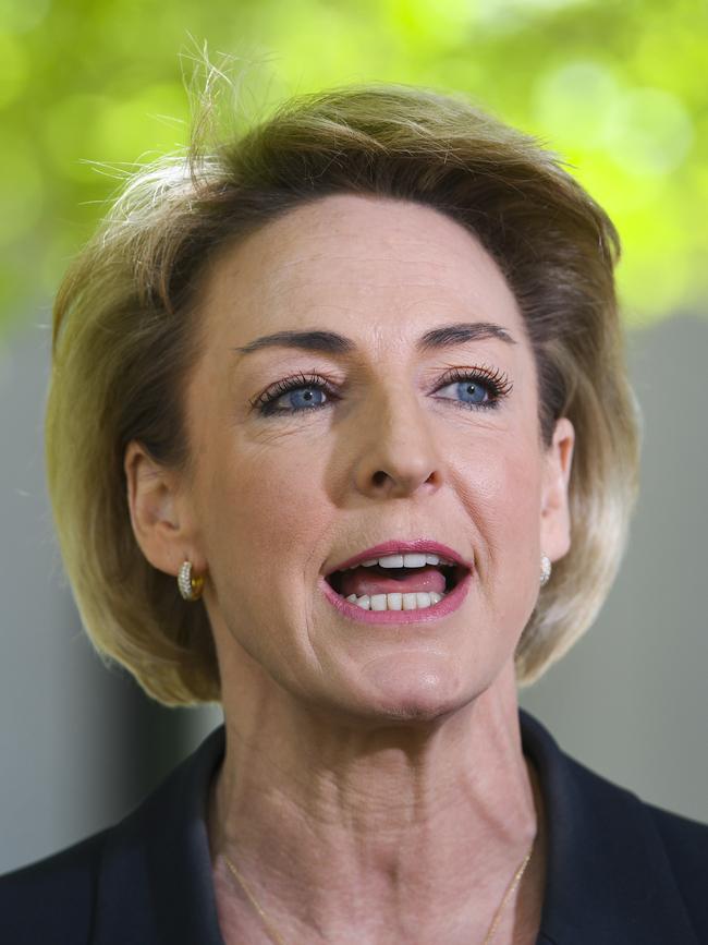 Michaelia Cash. Picture: AAP