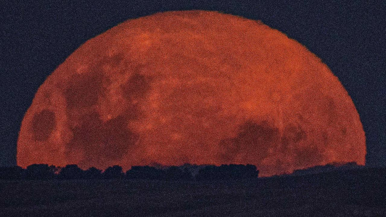 Pink supermoon How and when to see it in Australia The Courier Mail