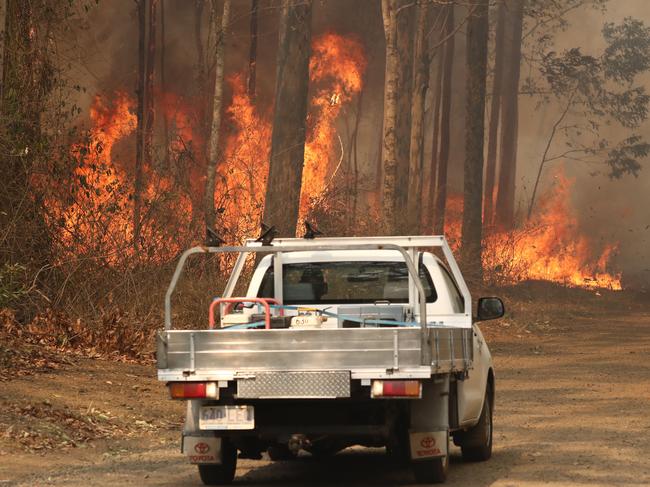 Firefighters battling bushfires in Busbys Flat, northern NSW. Picture: AAP