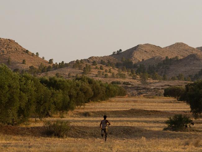 A scene from Harka