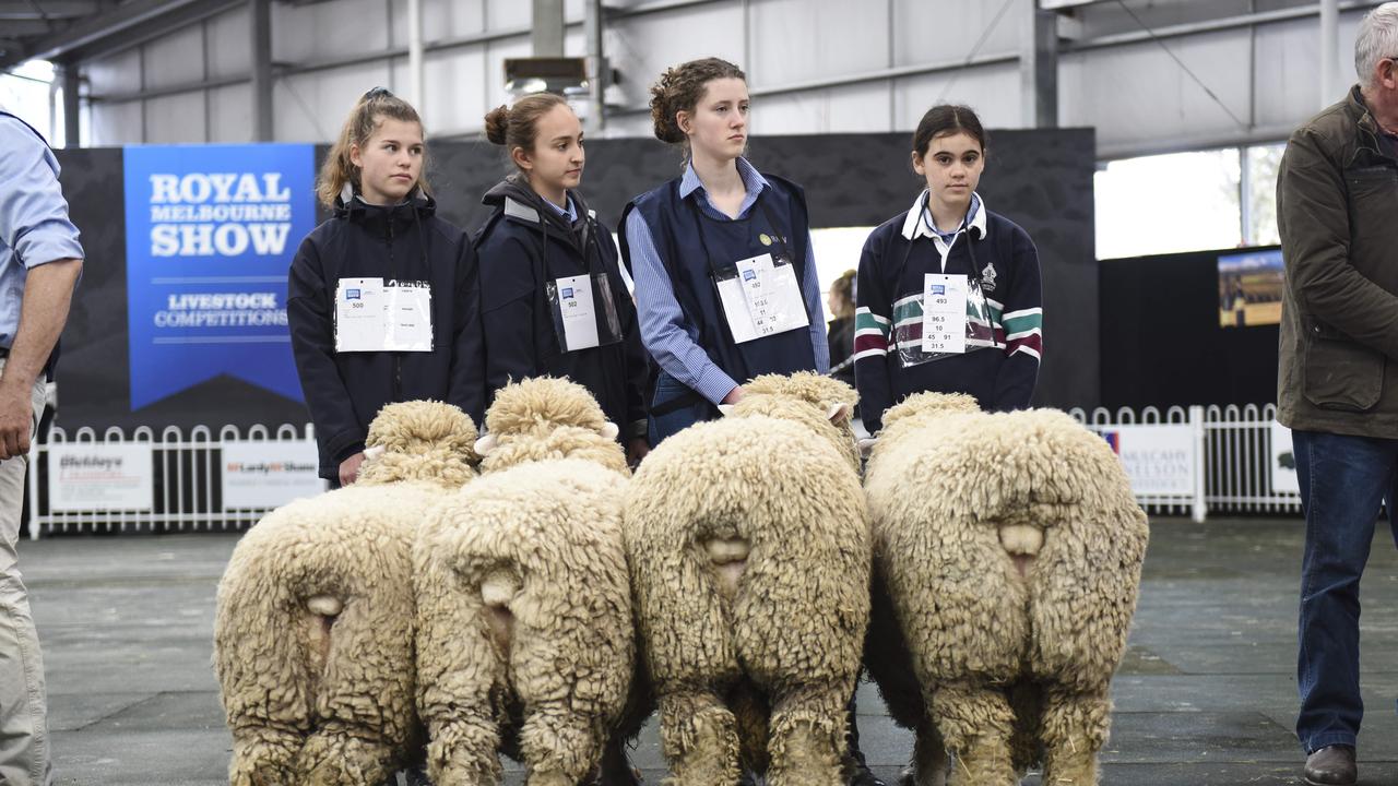 Competition judging in the interbreed production classes on Sunday, September 22 at the Royal Melbourne Show. Photo: Dannika Bonser