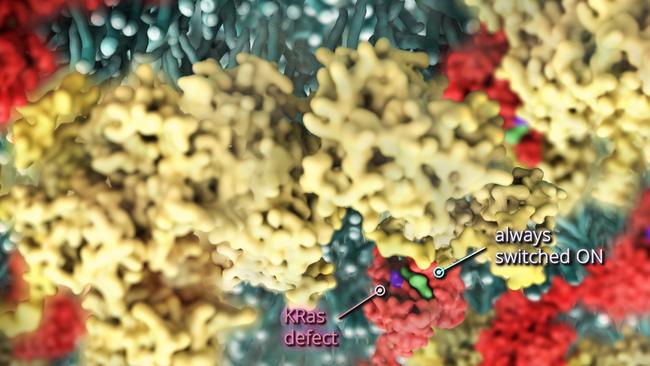 Cells with the protein switched “on”.