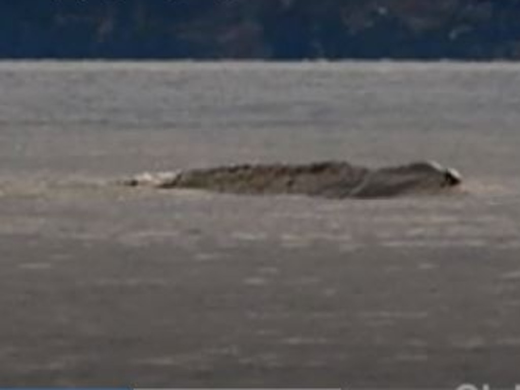 Andrew Stark believes this is simply a photo of a ‘weird wave’ but Ogopogo believers are convinced it’s the ridged back of the creature. Picture: Andrew Stark