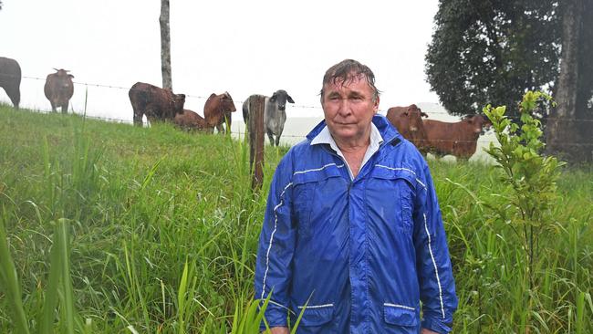 Beef Cattle farmer Alex Stubbs at his farm at Tarzali on the Atherton Tablelands.