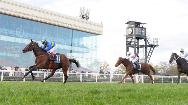 First Accused (white and red jacket) chased home the impressive Shock 'Em Ova last start at Caulfield. Picture: Brett Holburt / Racing Photos