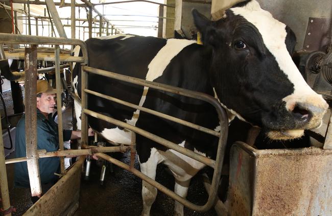 Country Valley Farm owner John Fairley in the dairy in 2016.