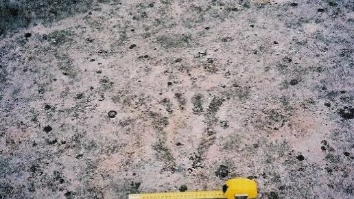 A footprint engraving within the proposed 'Lizard Rock' development at Belrose on 71ha of land owned by the Metropolitan Local Aboriginal Land Council. The image is part of an Urban Design Framework document lodged with the NSW Planning Department. Picture: Cox Architecture