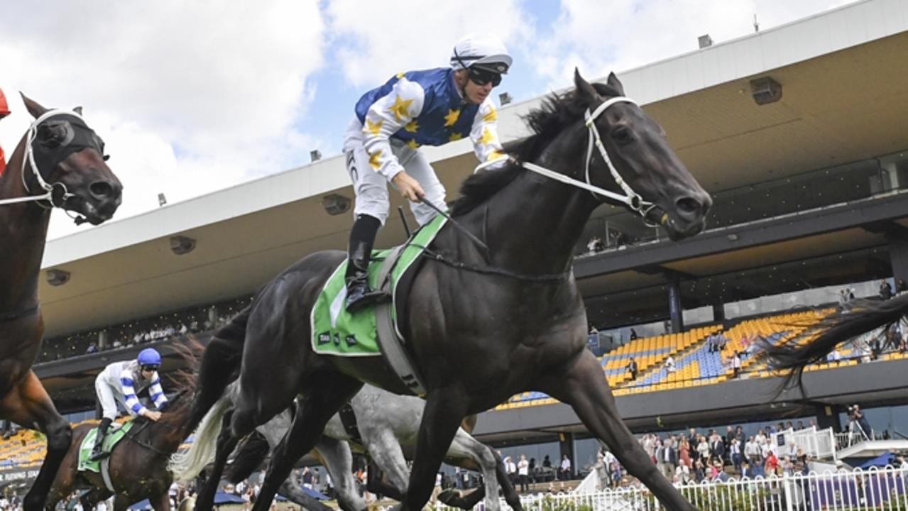 Progressive gelding Bide Your Time will need some luck from a wide gate in the Country Championship Wild Card. Picture: Bradley Photos