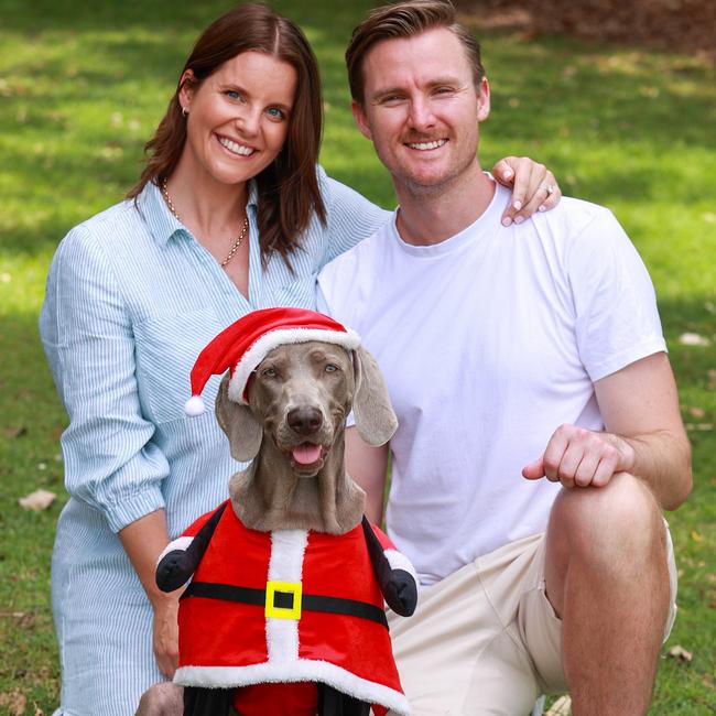 Ashleigh and Rowan Train, with their 18 month old Weimaraner, Indie, love Christmas. Picture: Justin Lloyd.