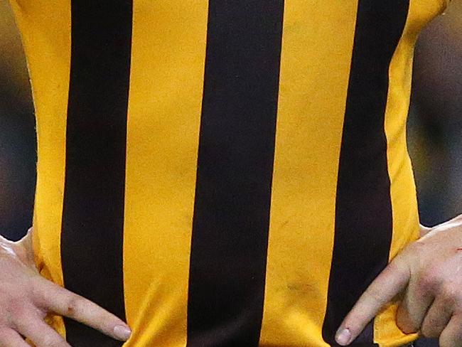 AFL : 2nd Qualifying Final, Geelong V Hawthorn at MCG. Hawthorn's Luke Hodge . 9th September 2016. Picture: Colleen Petch.