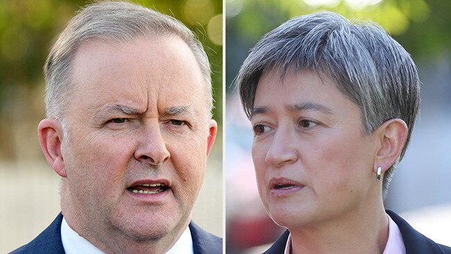 Anthony Albanese has received Penny Wong's support for the Labor Party leadership.