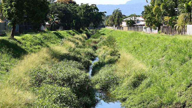 The federal government funding will be used in part to remove invasive species from Saltwater Creek and Lilly Creek, cleaning the urban waterways of weeds. Picture: Brendan Radke