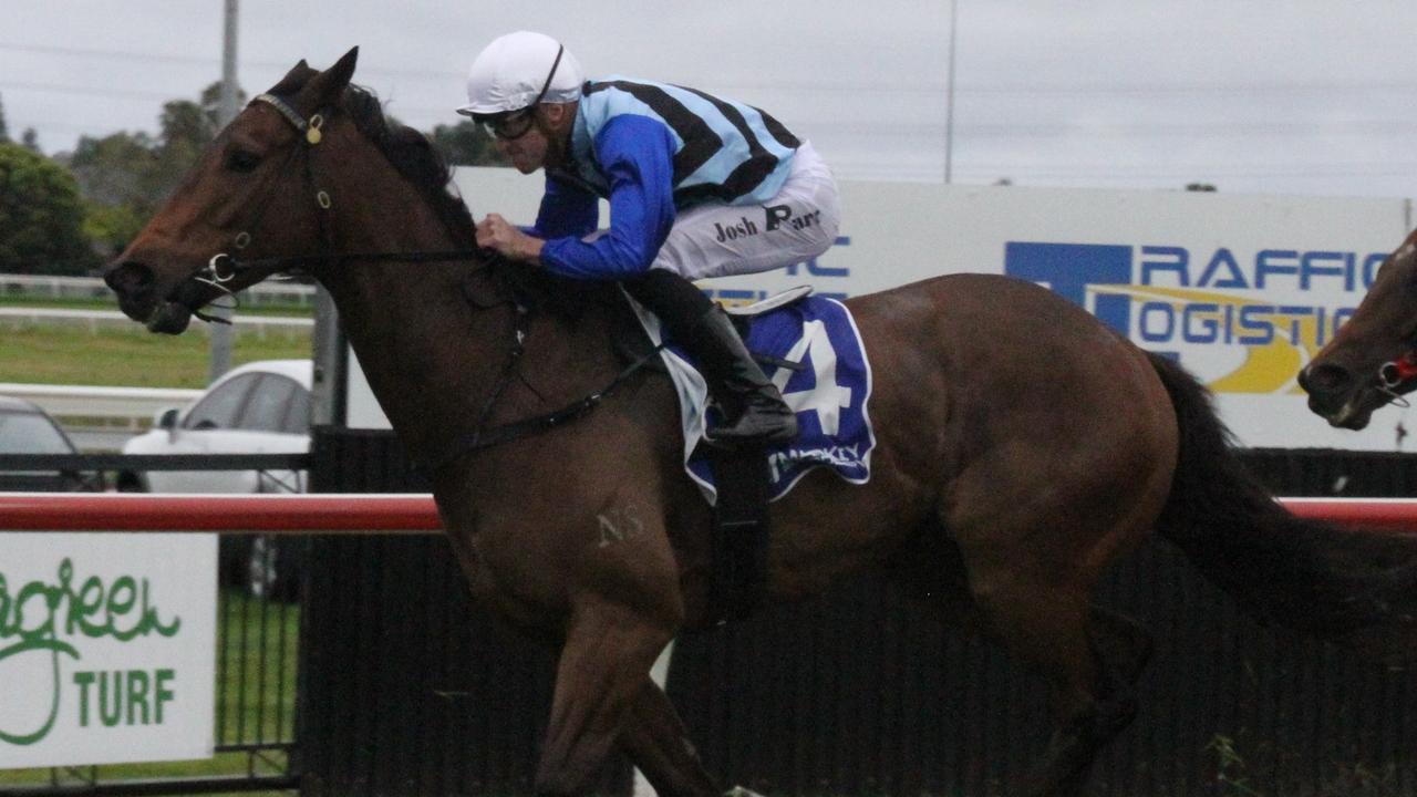 Steely has been specked at odds in the final race at Randwick on Saturday. Picture: Grant Guy