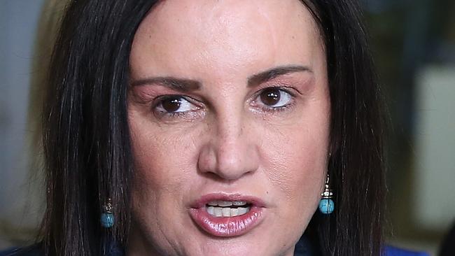 Senator Jacqui Lambie. Picture Kym Smith