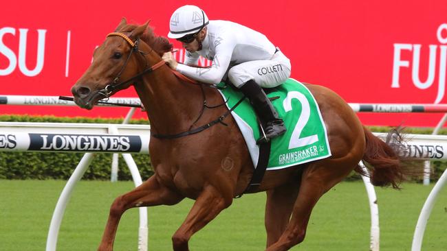 Kote looks a good chance in the Hawkesbury Guineas. Picture: Grant Guy