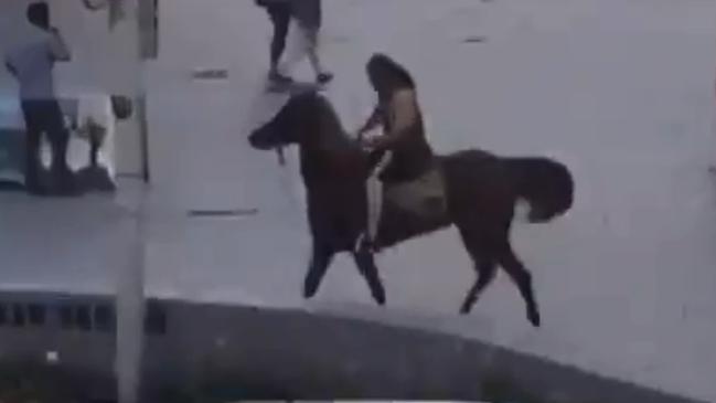 Footage appears to show Elomar riding a horse at Cronulla beach. Credit: Seven News