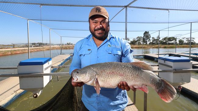 Salu Musu with one of Aquna Sustainable Murray Cod’s grown fish. Picture Yuri Kouzmin