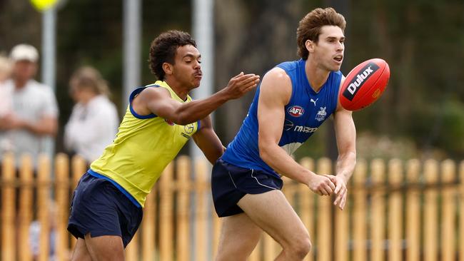 Fantasy Freako is expecting a rise from North Melbourne defender Kallan Dawson, right. Picture: Michael Willson/AFL Photos