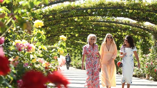 Amanda Parsons ( middle ) in an image published in Victoria Racing Club Annual report, she was crushed by a tree at the course and is suing the club . Picture: Instagram