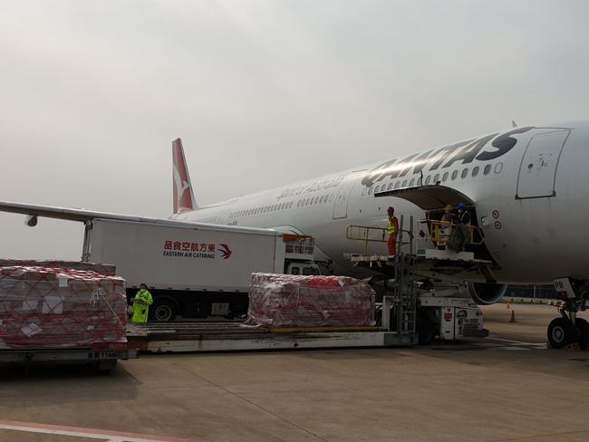 Qantas has started its three-times-a-week, Sydney-Darwin-Hong Kong freight service