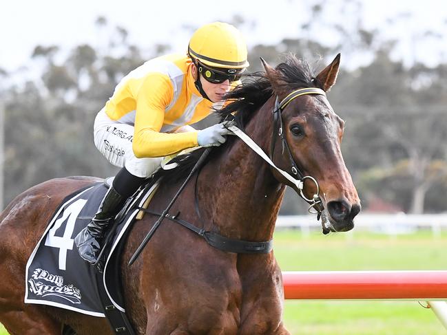 Front-runner Inthelapofthegods should roll forward and be hard to run down again when the Nathan Dunn-trained galloper steps out at Werribee on Thursday.  Picture : Racing Photos via Getty Images.