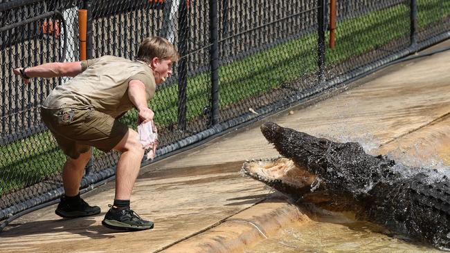 Robert Irwin appeared in the Crocoseum at Australia Zoo on Wednesday.