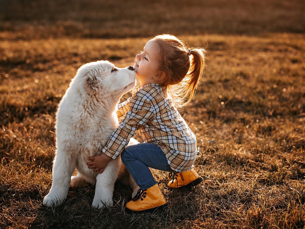 Researchers found girls were more likely to increase their activity compared to boys when their family acquired a pet dog.