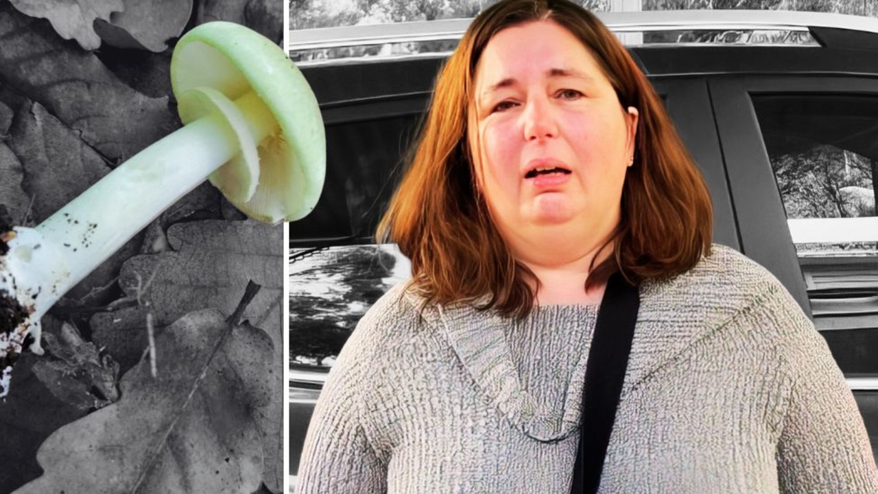 ‘Deathcap from Melbourne’ web page visited from device linked to Erin Patterson