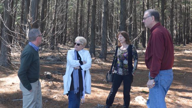 KIPT Managing Director John Sergeant, Commissioner Wendy Campana, Directors Shauna Black and Graham Holdaway.