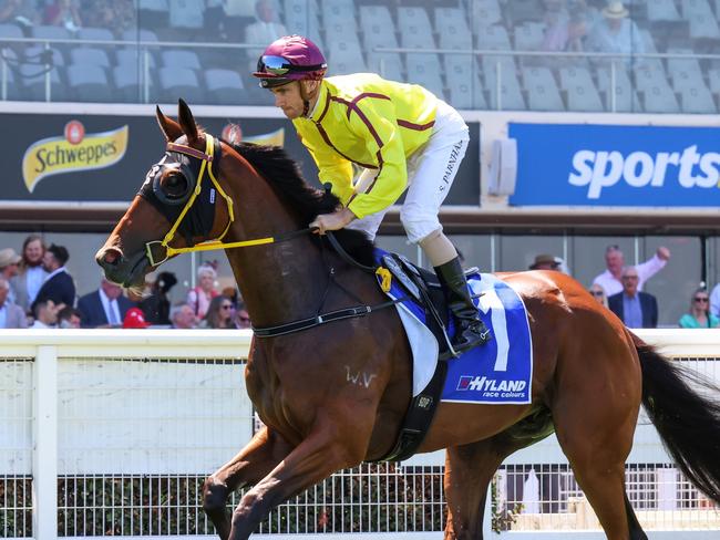 Zipaway on the way to the barriers prior to the running of  the Hyland Race Colours Autumn Stakes at Caulfield Racecourse on February 10, 2024 in Caulfield, Australia. (Photo by George Sal/Racing Photos via Getty Images)