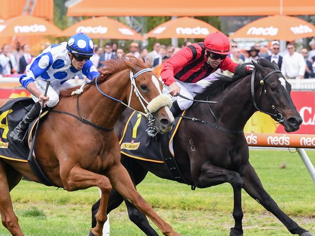 Autumn Angel ridden by Billy Egan wins the Schweppes Ethereal Stakes at Caulfield Racecourse on October 21, 2023 in Caulfield, Australia. (Photo by Reg Ryan/Racing Photos via Getty Images)