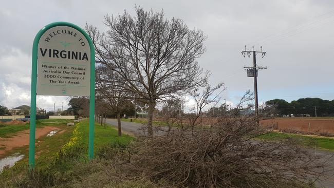 The existing entry to the main street of Virginia, north of Adelaide. Picture: Colin James