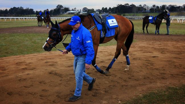 Darren Beadman leads Hartnell after early morning trackwork. Picture: Mark Evans