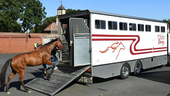 A Darren Weir-trained racehorse being loaded onto a float at Moonee Valley Racecourse. Picture: AAP Image/James Ross