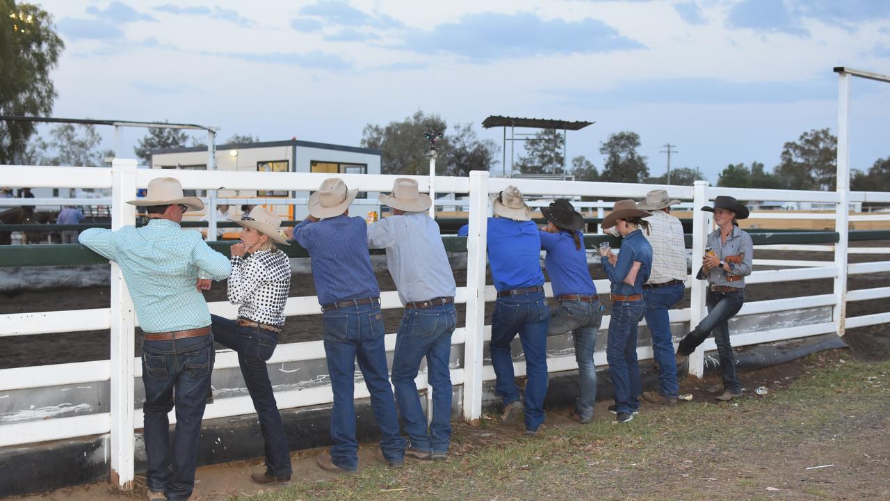 Spectators enjoyed the events on the first night of this year's Stock Horse Sale.