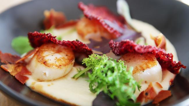 Seared scallops with cauliflower puree and beetroot chips at The Herring Room. Picture: Braden Fastier