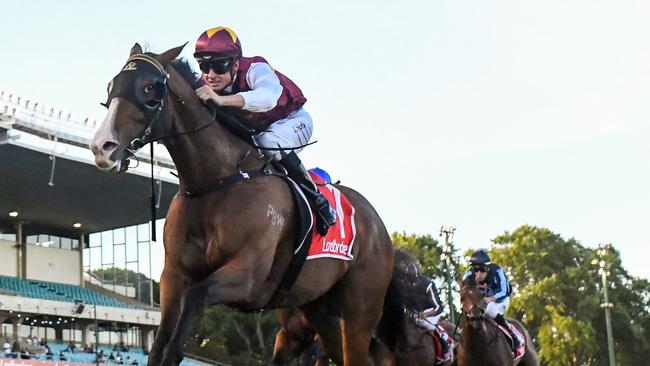 Streets of Avalon has been well supported to win the PB Lawrence Stakes. Picture: Racing Photos via Getty Images